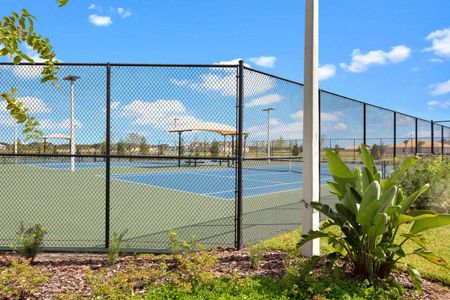 Waterset Garden Series by David Weekley Homes in Apollo Beach - photo 10 10