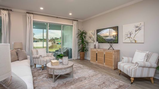 Island Forest Preserve by Maronda Homes in Merritt Island - photo 12 12