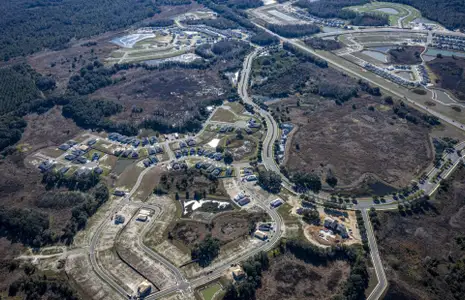Riverwood by Pulte Homes in Zephyrhills - image