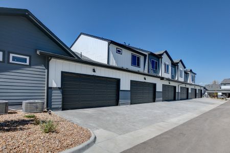 Highlands at Fox Hill - The Towns 3