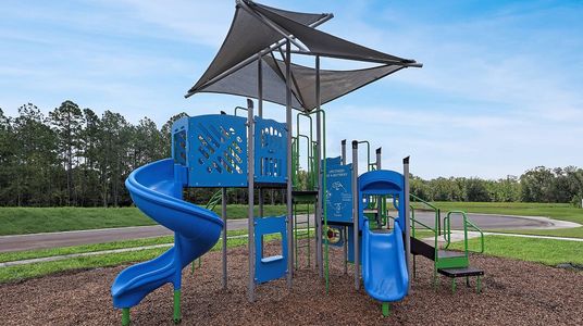 Diamond Springs: Diamond Springs 40s by Lennar in Jacksonville - image 13