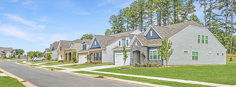 Founder's Ridge: 61' by Lennar in Lexington - image