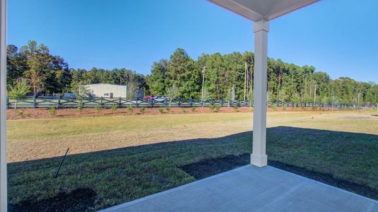 Carolina Groves by D.R. Horton in Moncks Corner - photo 57 57