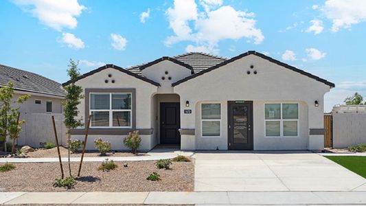 Heartland Ranch by D.R. Horton in Coolidge - photo 15 15