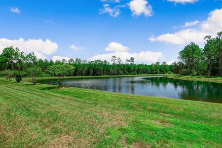 Sandy Creek by SEDA New Homes in Saint Augustine - photo 7 7