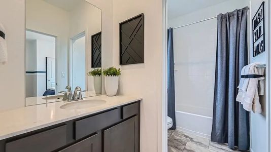 Tanterra: The Parkside 6