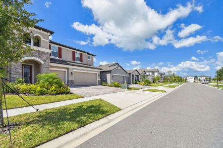 Whispering Oaks Preserve by M/I Homes in Wesley Chapel - photo 15 15