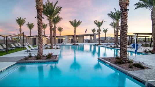 Pool surrounded by palm trees at dusk