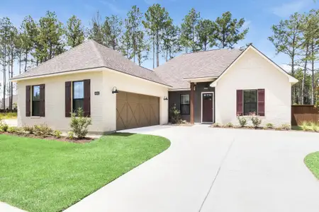 Longleaf by DSLD Homes in Lumberton - image