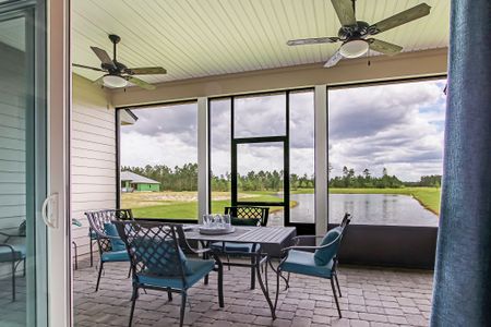 Sandy Creek by SEDA New Homes in Saint Augustine - photo 79 79