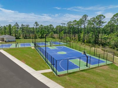 Crescent and Symphony at Hammock Bay by DSLD Homes in Freeport - image 7