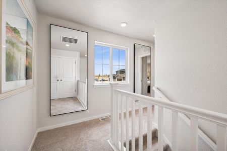Windler by Century Communities in Aurora - image 8