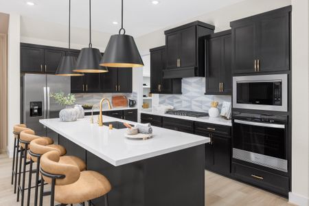 Candela 50' by Coventry Homes in Richmond - image 4