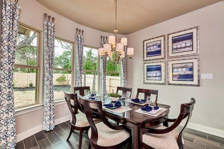 Elkhorn Ridge by Princeton Classic Homes in Fair Oaks Ranch - photo 14 14