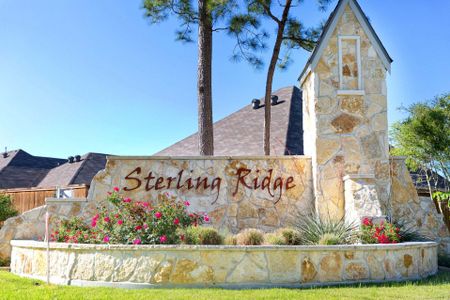 Sterling Ridge by Stylecraft Builders in Huntsville - image 6