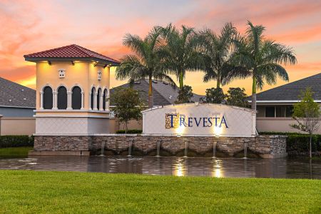 Trevesta by M/I Homes in Palmetto - photo 4 4