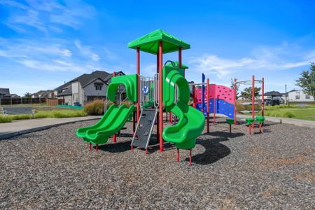 Dominion of Pleasant Valley by Coventry Homes in Wylie - image 3