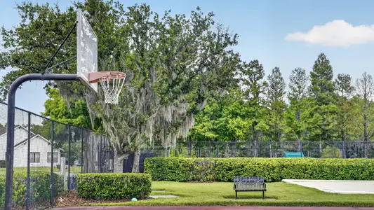 Longleaf: The Havens 19