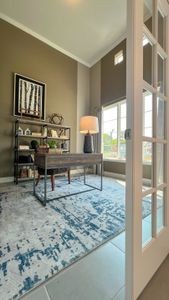 Foxtail Palms by Smith Douglas Homes in Manvel - photo 10 10