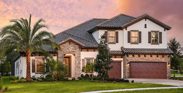 Creek Ridge Preserve by Homes by WestBay in Lithia - image 9