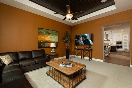 Wildridge 70' Homesites by Coventry Homes in Oak Point - photo 12 12