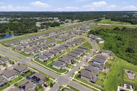 Cobblestone by M/I Homes in Zephyrhills - image 16