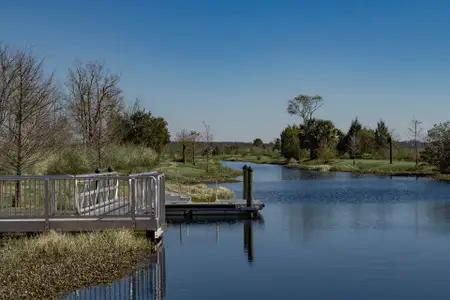 Pine Meadows Reserve by Trinity Family Builders in Eustis - image 4
