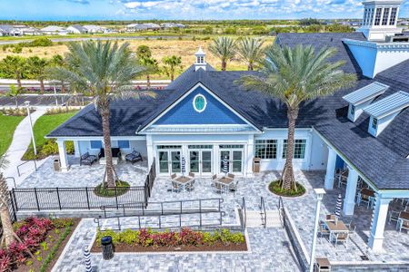 Palmera Wellen Park - Classic Series by David Weekley Homes in Venice - image 5