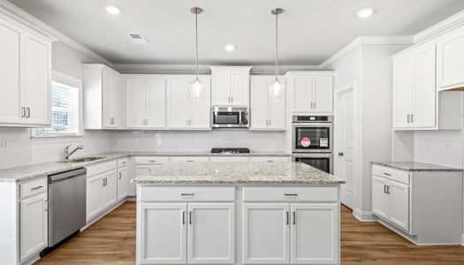 Ruby Creek Estates by Stephen Elliott Homes in Atlanta - photo 14 14