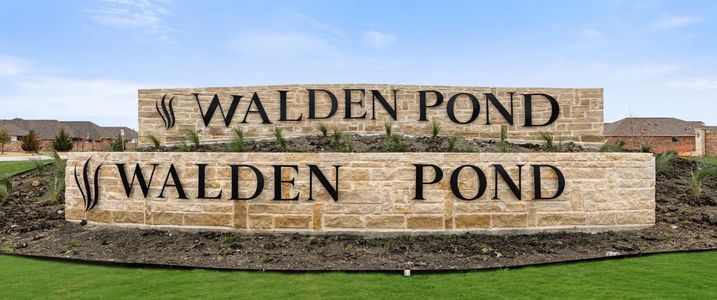 Walden Pond by UnionMain Homes in Forney - photo 1 1