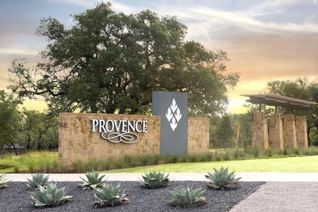 Provence 50' by Newmark Homes in Austin - photo 1 1