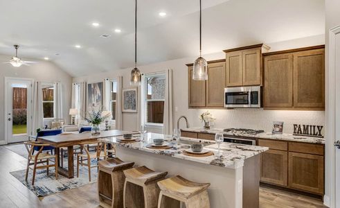 Anna Ranch by Brightland Homes in Anna - photo 17 17