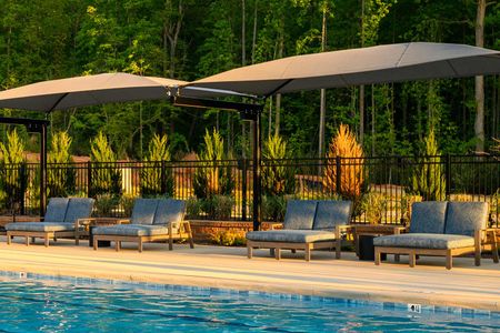 Encore at Chatham Park – Tradition Series by David Weekley Homes in Pittsboro - image 10