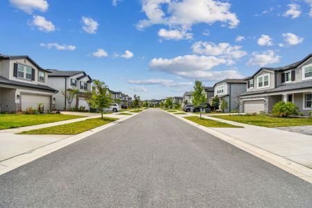 Chapel Crossings by M/I Homes in Wesley Chapel - photo 42 42