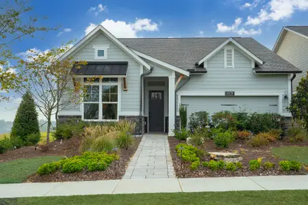 Lanier Landing 50' by David Weekley Homes in Gainesville - image