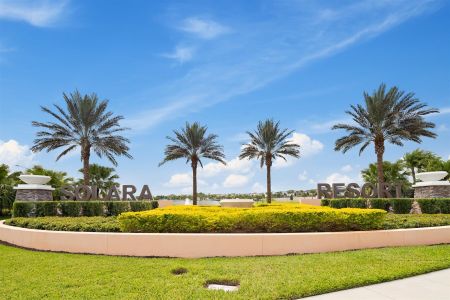 Solara Resort by Mattamy Homes in Kissimmee - photo 7 7