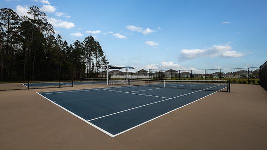 Cherry Elm at SilverLeaf by Taylor Morrison in St. Augustine - photo 14 14