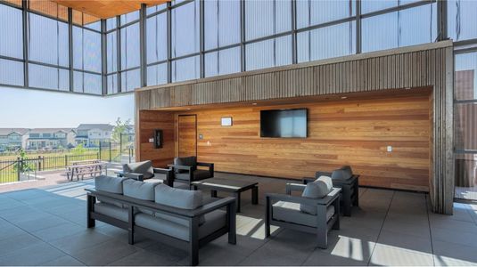 Macanta: The Grand Collection 4