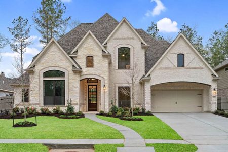 Artavia 70′ Lots by J. Patrick Homes in Conroe - photo 29 29