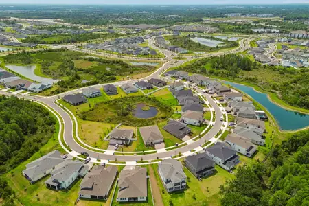 Chapel Crossings by M/I Homes in Wesley Chapel - image 18