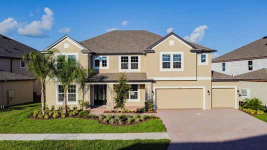 Shortgrass At Two Rivers by M/I Homes in Zephyrhills - photo 4 4