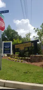 Chestnut Grove by Starlight Homes in Douglasville - image
