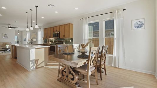 Emberly by DSLD Homes in Beasley - photo 9 9