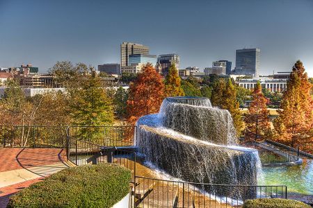 Birdhaven by Veranda Homes in Lexington - image 11