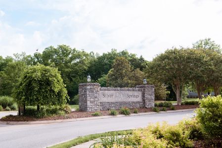Silver Springs by Universal Builders in Mount Juliet - image
