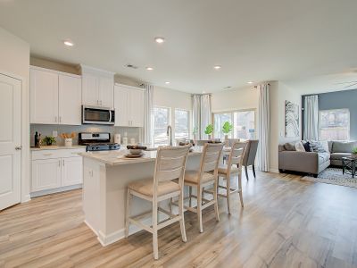 Vistas at Towne Mill by Meritage Homes in Canton - photo 16 16