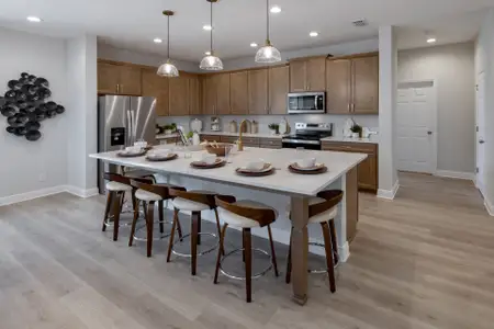 Trinity Gardens by Trinity Family Builders in Deland - photo 14 14