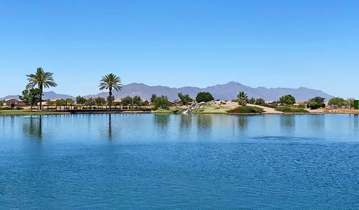 Seasons at The Lakes at Rancho El Dorado III by Richmond American Homes in Maricopa - photo 1 1