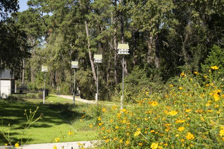 Audubon by Westin Homes in Magnolia - image 12