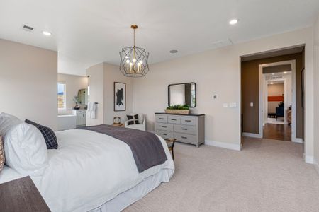 Trailstone Destination Collection by Taylor Morrison in Arvada - photo 135 135